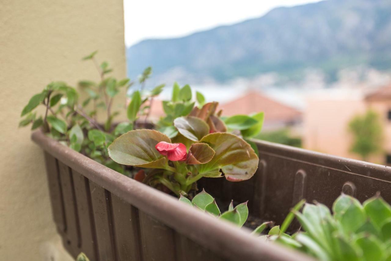 קוטור St Duke Apartment מראה חיצוני תמונה